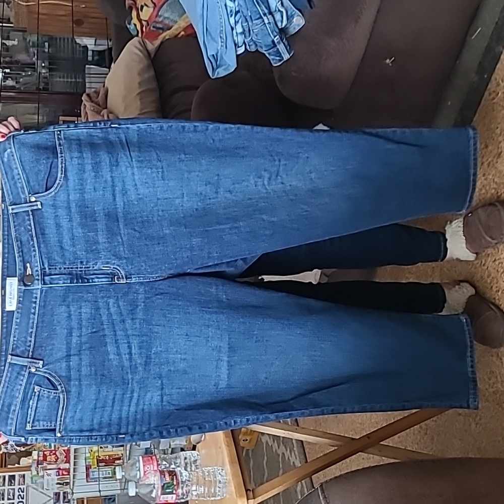 Lane bryant straight let jeans